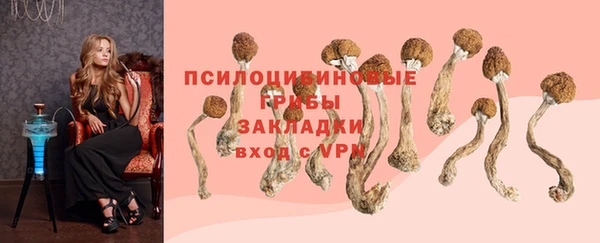 mdpv Нея