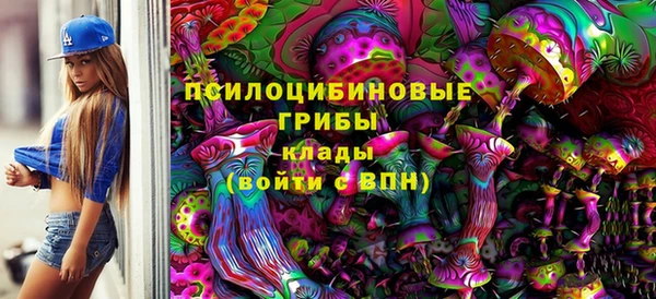 стафф Нефтекумск