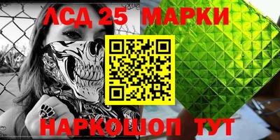 прущие грибы Будённовск