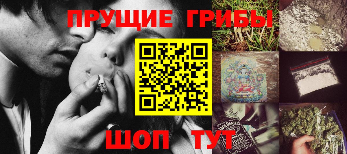 Галлюциногенные грибы MAGIC MUSHROOMS  Кимовск  Псилоцибиновые грибы Psilocybine cubensis 