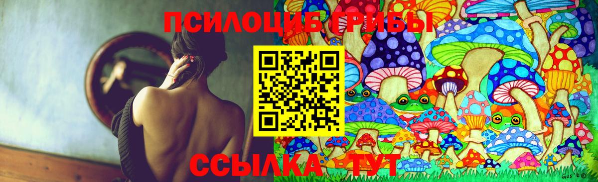 Кимовск  Псилоцибиновые грибы Cubensis  закладка  Псилоцибиновые грибы мицелий  Вход с VPN 