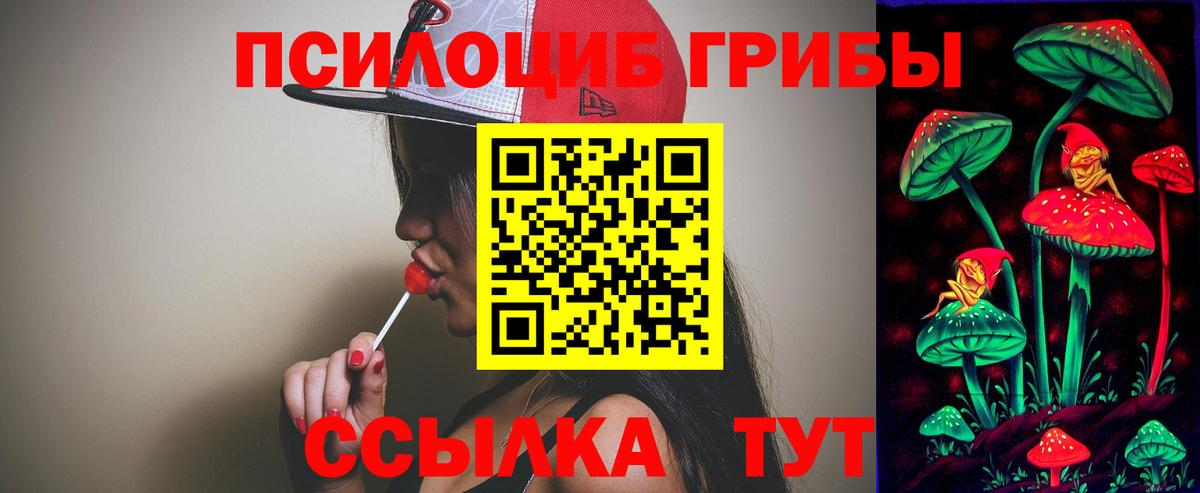 Галлюциногенные грибы Magic Shrooms Кимовск